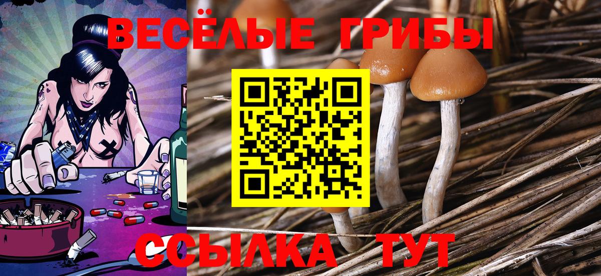 МЕФ   Копейск  COCAIN  ГАШ  Вход с VPN  Марихуана  Метамфетамин  NBOMe 