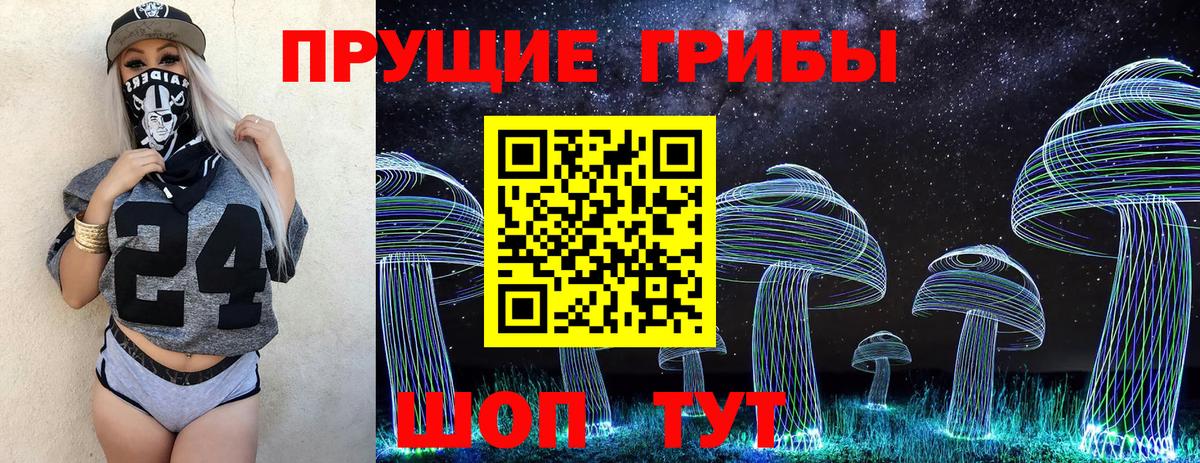 Псилоцибиновые грибы Cubensis Копейск
