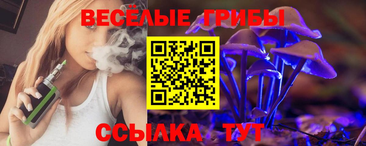 Псилоцибиновые грибы Psilocybe  Вход с VPN  Копейск 